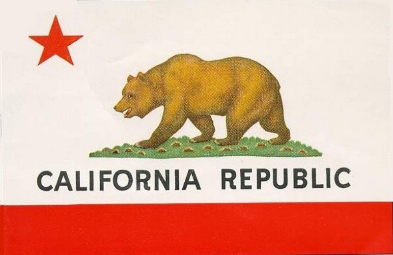 California Flag For Peter Alagona Event