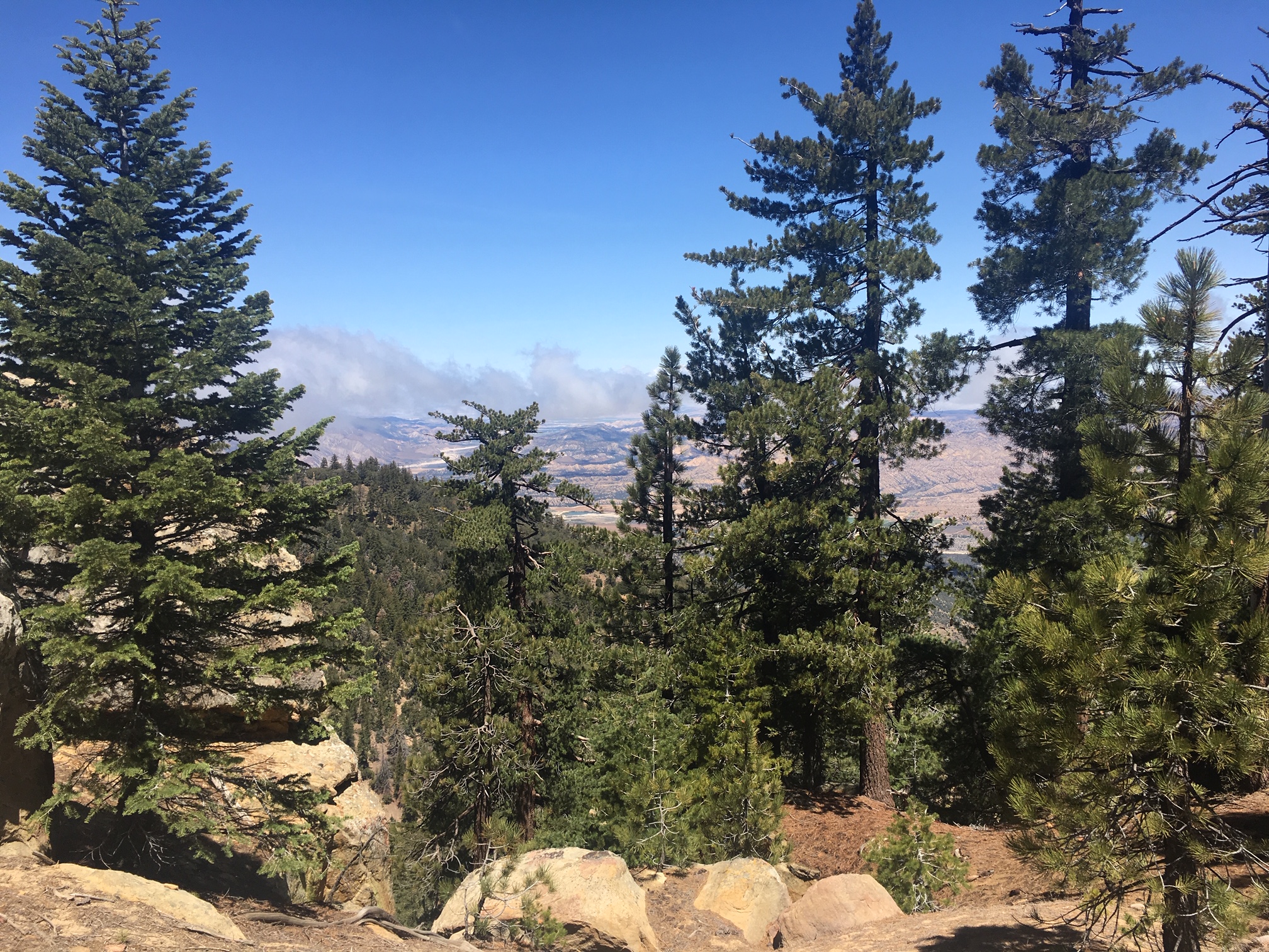 View From Reyes Peak LGaspar